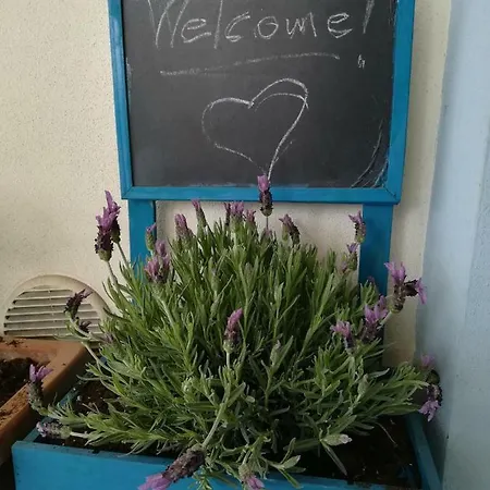 Apartament Appartamentino Acquamarina