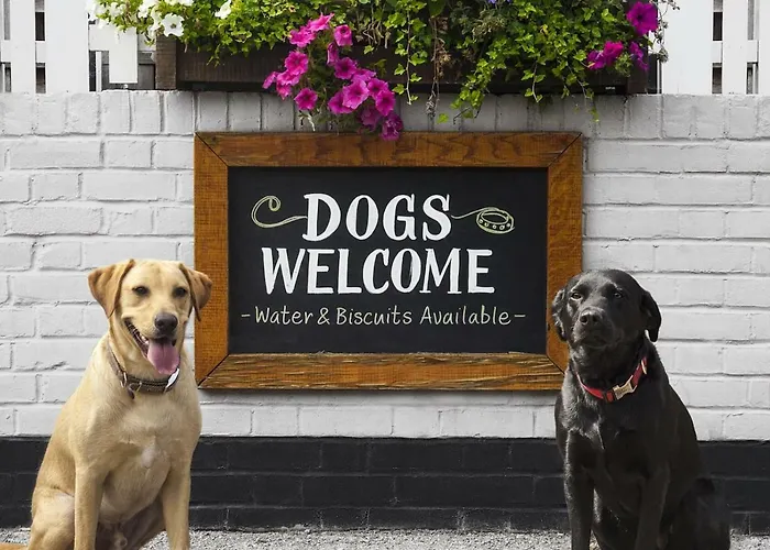 Appartamento Appartamentino Acquamarina