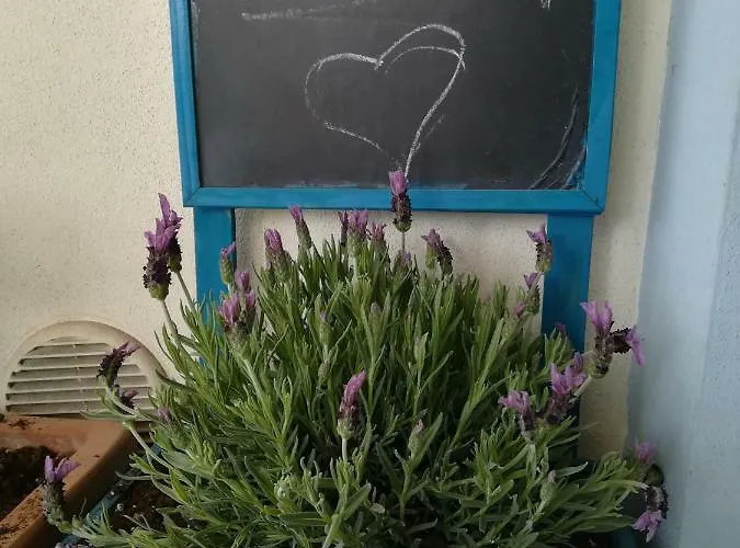 Apartamento Appartamentino Acquamarina